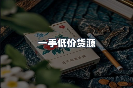 一手低价货源